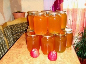 Рецепты соков на зиму: яблочный, виноградный, сливовый, жимолости, шиповника и морковного