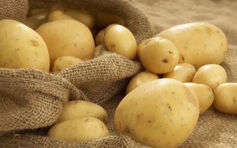 Сорт картофеля Ривьера: срок созревания 35–40 дней.