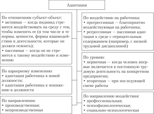 Адаптация сотрудника на новом рабочем месте план