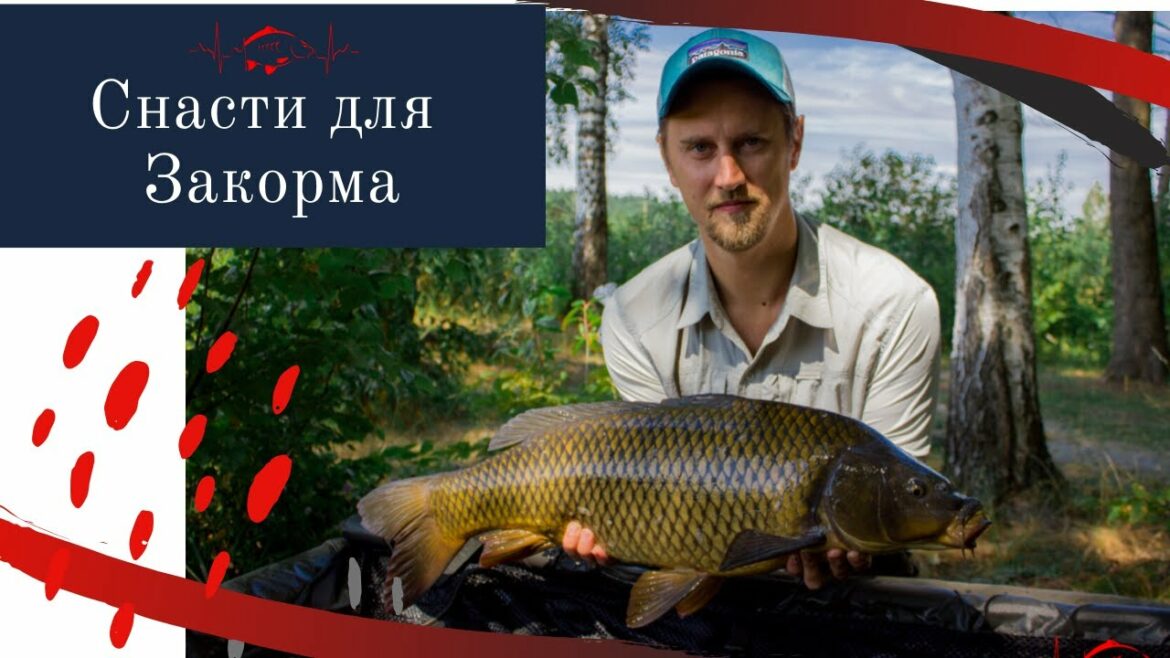 kak-prikarmlivat-karpa-s-pomoshhyu-spomba