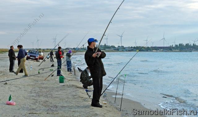 Ловля пеленгаса в Азовском море