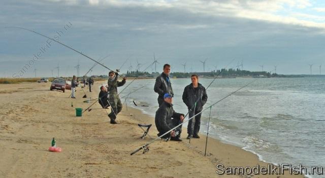 Как ловить и как поймать пеленгаса в Азовском море