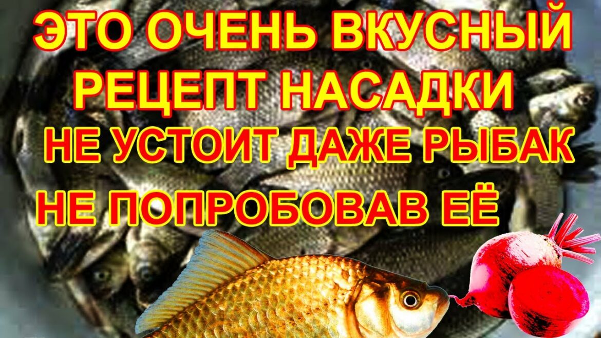 reczept-nasadki-dlya-lovli-karasya-na-reke