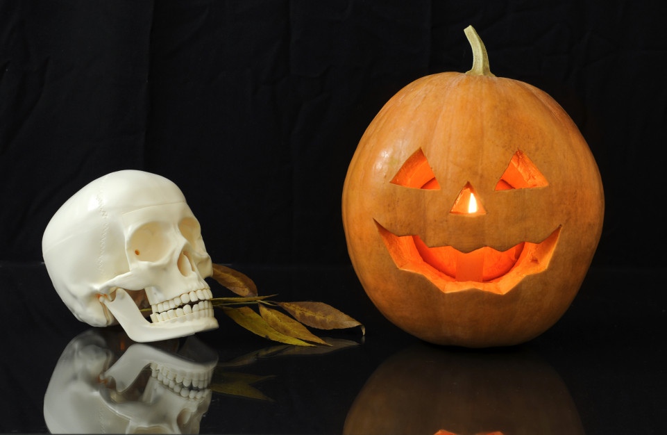 Как вырезать тыкву на Хэллоуин: фото, шаблоны, фонарь из тыквы своими руками
