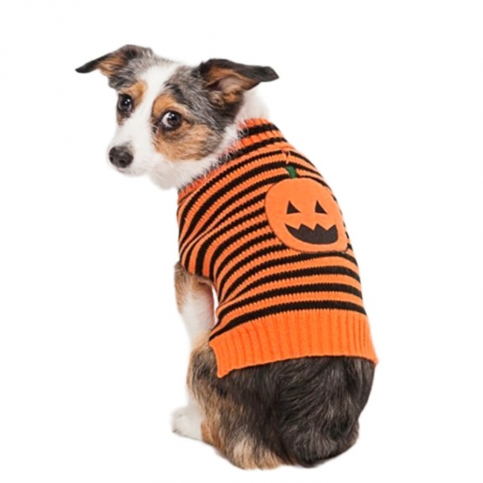 Лукин хорошего-полосатый тыквы собаки свитер