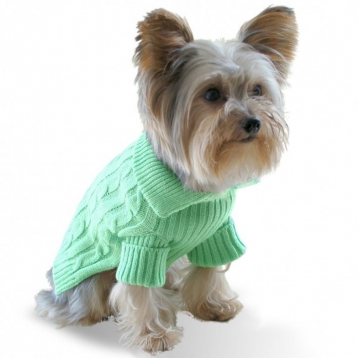 фисташки зеленый собака-Аран свитер-