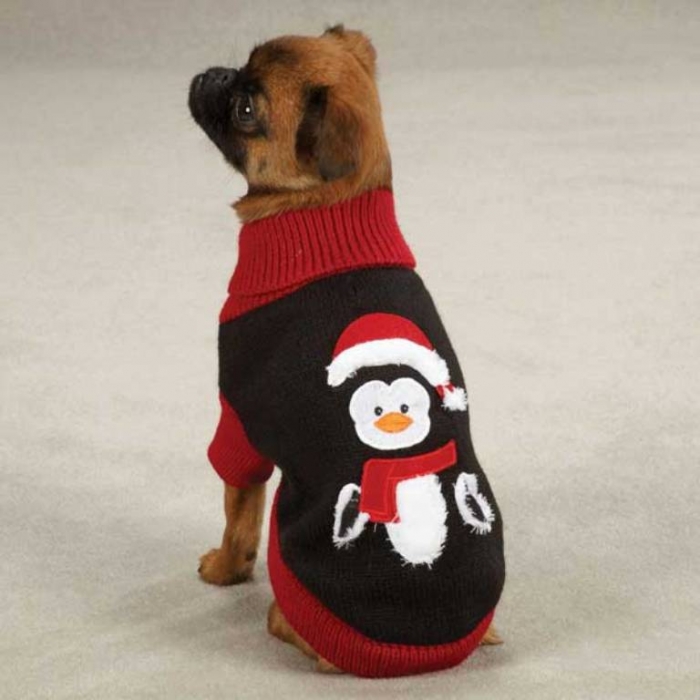 Зак-Зои-праздник-пингвин-собака-свитер-1