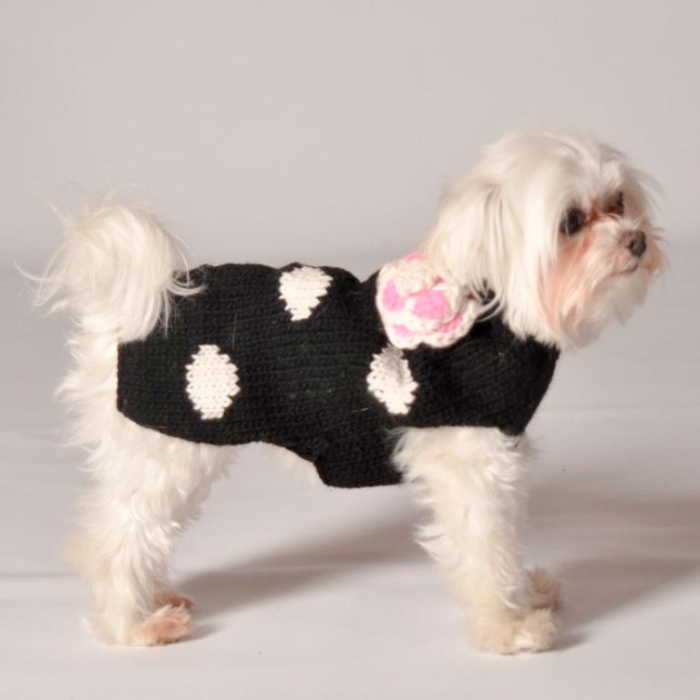 черный горошек собака цветок-собака-свитер-с-холодный-собаки