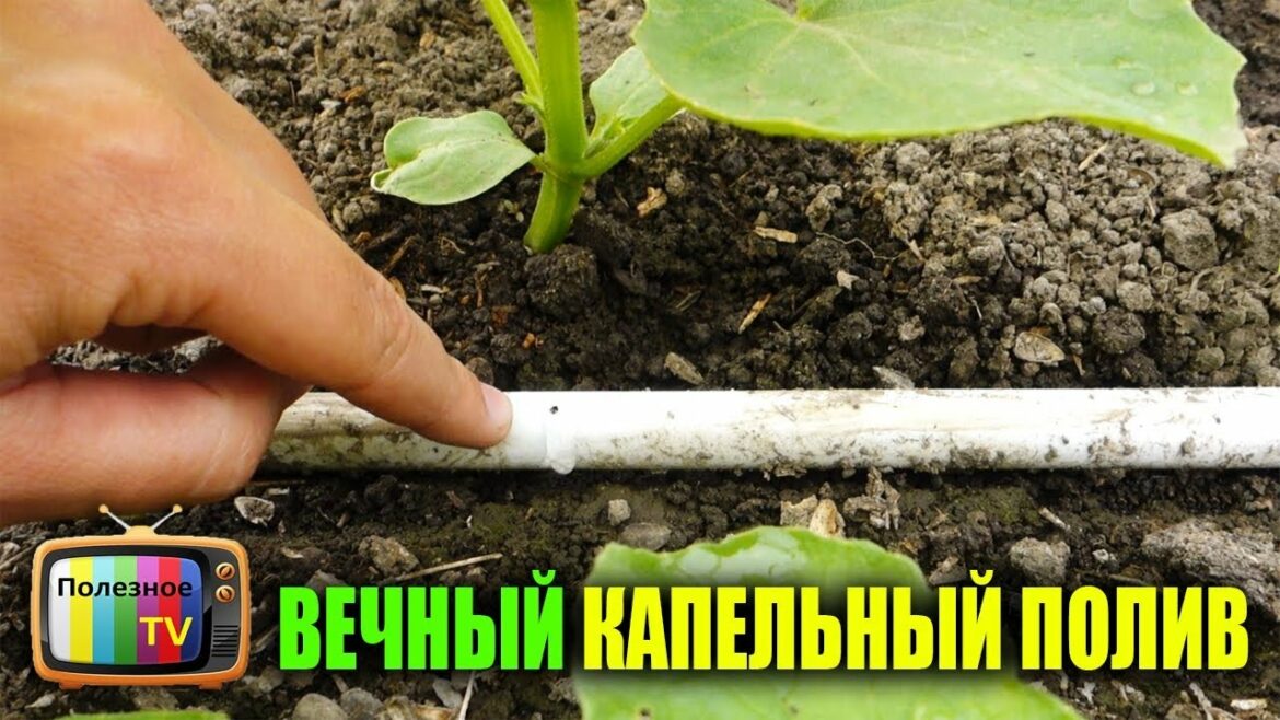 Система капельного полива своими руками - Как сделать - Домашняя копилка